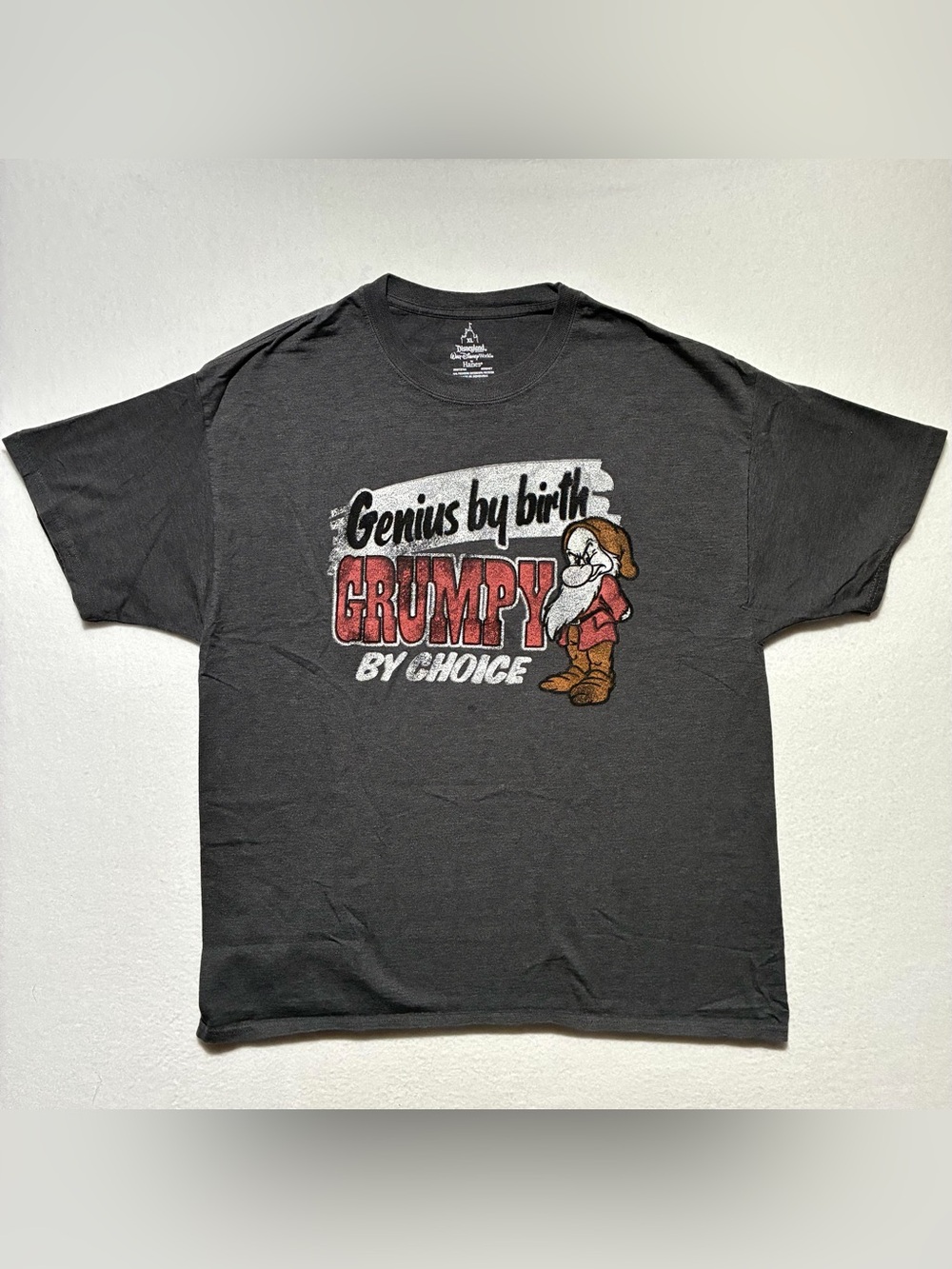 Disneyland Resort Walt Disney World By Hanes Genius By Birth Grumpy By Choice XL